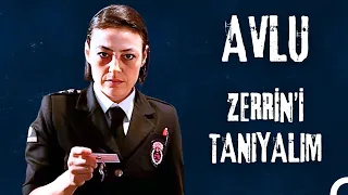 Avlu'nun Zerrin'ini Tanıyalım