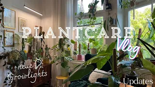 PLANTCARE VLOG 🪴 | Ableger + Updates  | neues Set Up + Growlights ✨