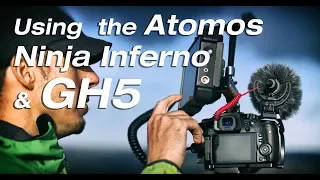 Why I Use the GH5 and Atomos Ninja Inferno
