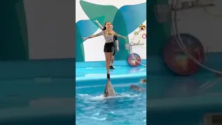 Великолепный танец девушки с дельфином ☯️👍❤️🎑🎶🌎🐬🐬🐬