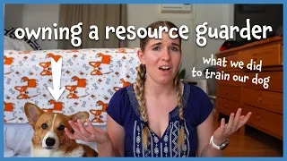 Owning a RESOURCE GUARDING Dog | how we stopped it + mistakes we made