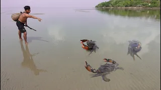 Amazing Catching Many Huge Mud Crabs In Sea after Water Low Tide