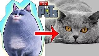 ГЕРОИ "Тайная жизнь домашних животных" В РЕАЛЬНОЙ ЖИЗНИ / "The Secret Life Of Pets" in real life