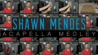 Shawn Mendes (ACAPELLA Medley) - In My Blood, Stitches, Lost in Japan, Mercy and MORE!