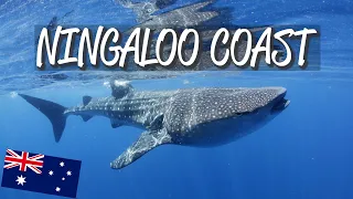 Ningaloo Coast - UNESCO World Heritage Site