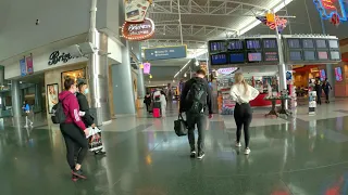🇺🇸 Arriving at Las Vegas Airport | Walking Tour 4k 60FPS