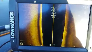 LOWRANCE ELITE TI-2, 12