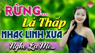 ✔️RỪNG LÁ THẤP ❖ TUYỆT PHẨM 531 Bài Rumba NGỌT NGÀO SÂU LẮNG CON TIM ►Tình Xưa Bolero