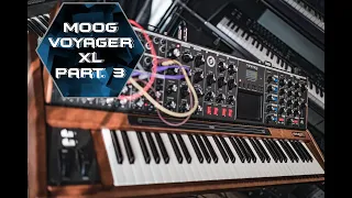 Moog Voyager XL Part. 3 | No Talking | @kurzyroly