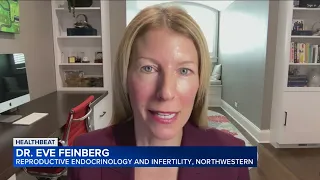 Northwestern specialist speaks on impact of Alabama embryo ruling, IVF