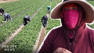 Farmworkers Risk Getting COVID At Work, And At Least Half Don’t Have Legal Status