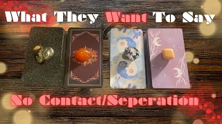 What They Want To Say To YOU 🥺🫢💔Blocked/No Contact Separation | Timeless In-Depth Tarot Reading