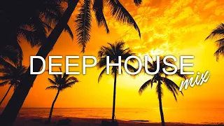 Avicii, Calvin Harris, Kygo, Alok, Robin Schulz, David Guetta, Gryffin  Summer Vibes Mix #443