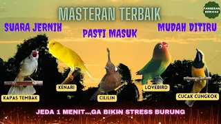 5 in 1 MASTERAN JERNIH dengan Jeda (Masteran Tembakan Kasar)