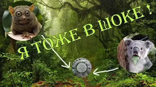 ШОК ОТ СТАРОЙ ДОРОГИ! ВОТ ЭТО ПОВЕЗЛО С НАХОДКАМИ! В Поисках Клада и Сокровищ!