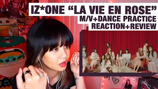 OG KPOP STAN/RETIRED DANCER'S REACTION/REVIEW: IZ*ONE "La Vie En Rose" M/V+Dance Practice!