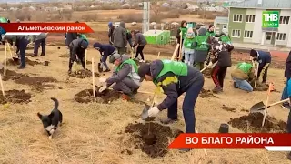 В нефтяном регионе Татарстана высадили более 7 миллионов саженцев | ТНВ