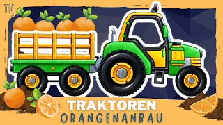 Traktor & Trecker ⭐ Orangenanbau  [ Kindervideos | Kinderfilme ] #telekids