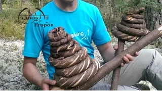 Веревка / канат из елки  wooden rope primitive technology
