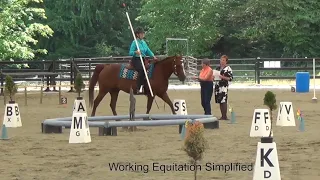 Obstacles Intro by Working Equitation Simplified.