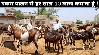 100 से 140 kg के बकरों से हर साल करते हैं मोटी कमाई | Goat Farming | Bakra Palan