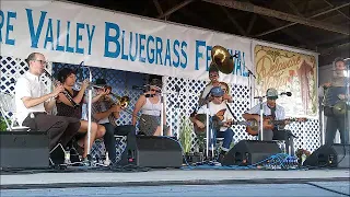 Tuba Skinny  at 2019 Delaware Valley Bluegrass Festival   Part 1   2 songs