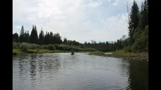 TRIP TO WILDERNESS/ Russian taiga/ hike for 6 days