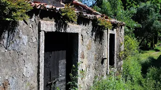 Njerka me mesoj si me ja kry at punen