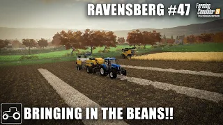 Harvesting Soybenas & Corn, Baling Soybean Straw - Ravensberg #47 Farming Simulator 19 Timelapse