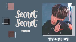 [1시간/ 1 HOUR LOOP] Stray Kids - Secret Secret (말할 수 없는 비밀)