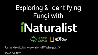 Exploring and Identifying Fungi with iNaturalist (MAWDC 3/16/21)