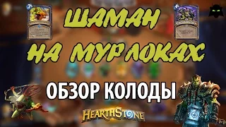 HEARTHSTONE | ОБЗОР КОЛОДЫ ШАМАН НА МУРЛОКАХ