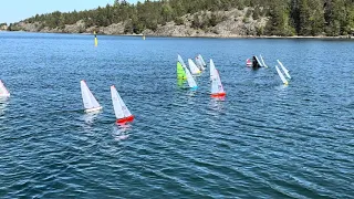 Last Gold Race of the DF65 Globals in Nynäshamn