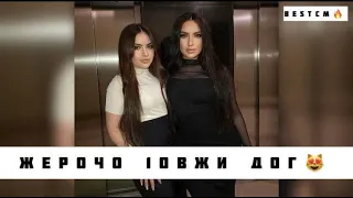 Жерочо 1овжи Дог😻🔥🔥