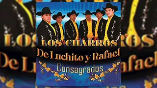 Los Charros de Luchito y Rafael - Como Tu Querer