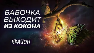 Крайон. Бабочка выходит из кокона. Новое Рождение. Энергии Нового Времени.