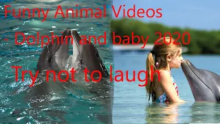 Funny Animal Videos - Dolphin And Baby 2020 [ Try not to Laugh