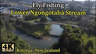 Fly Fishing the Lower Ngongotahā Stream in 4K