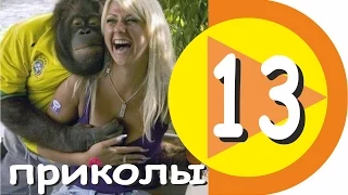 ★ САМЫЕ СМЕШНЫЕ ПРИКОЛЫ 13