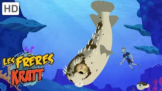 Les Frères Kratt | Blowfish Brochout | Épisode Complet | Saison 2