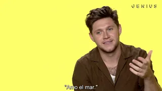 Niall Horan - Genius - Subtitulado al español - Nice to meet ya - Letra y significado oficial.