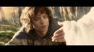 Lord of the Rings - Как жили мы, борясь