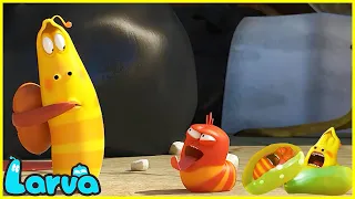 LARVA TUBA 🍎🐛🍎Dispute🍎🐛🍎 ẤU TRÙNG TINH NGHỊCH🍎🐛🍎LARVA FAMILY 2023