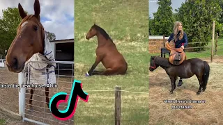 The Best HORSE TikTok Compilation 2022 #68