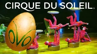 CIRQUE DU SOLEIL OVO Amazing Juggling Act HD 2017