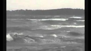 I Love Windsurfing Because - ShortMovie - trailer2