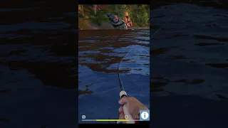 🎣🐠Catching with ultra light spinning. Fishing on popper in the river RF4 #shorts #fishing #gaming