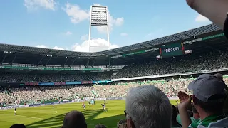 Feier nach Tor von Claudio Pizarro (Werder Bremen - RB Leipzig 2-1)