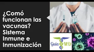 ¿Comó funcionan las vacunas? Sistema Inmune e Inmunización