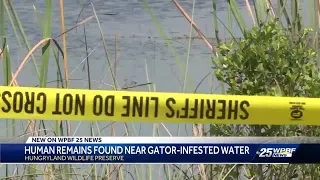 Human remains found in gator-infested canal of Martin County nature preserve